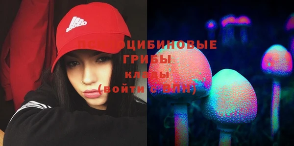 крисы Алексеевка