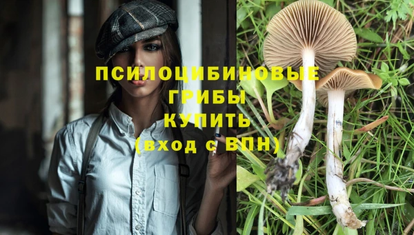2c-b Алексин