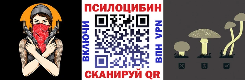 Псилоцибиновые грибы мицелий  Устюжна 